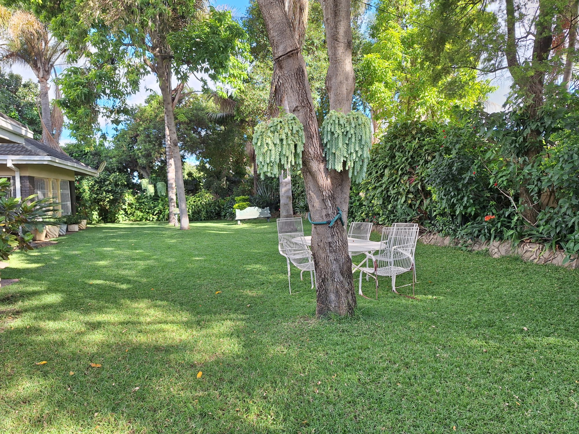 Ashleys Guest House (2)